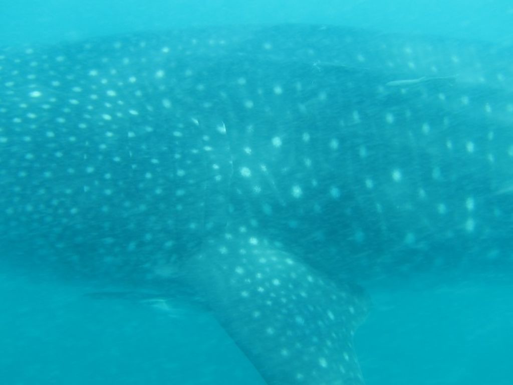 5e354854-1610-4e55-bea0-246ca23e012e