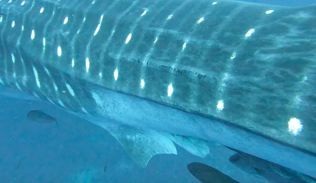 da4d97a7-2da8-449e-a802-5f3bbbbcd5d6