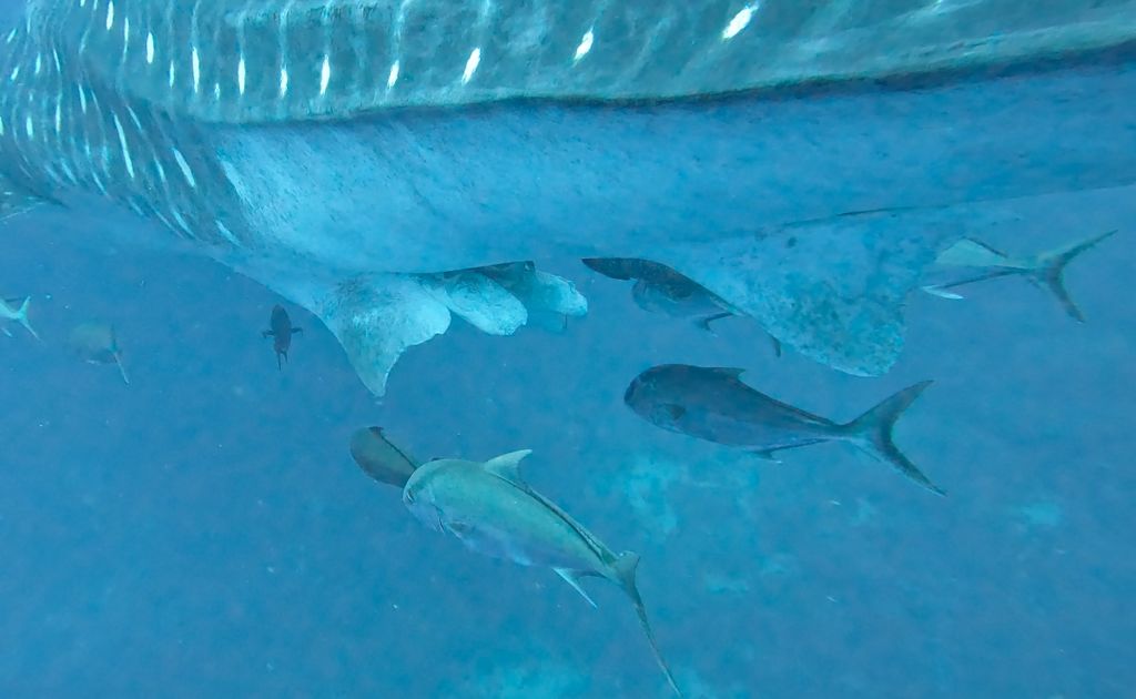 da4d97a7-2da8-449e-a802-5f3bbbbcd5d6