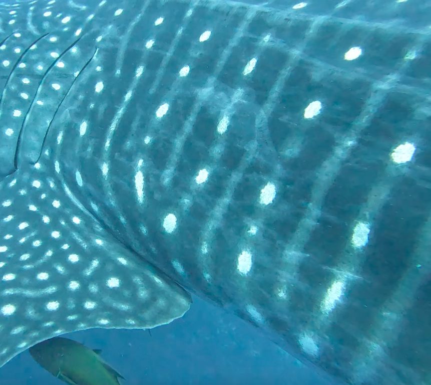 da4d97a7-2da8-449e-a802-5f3bbbbcd5d6