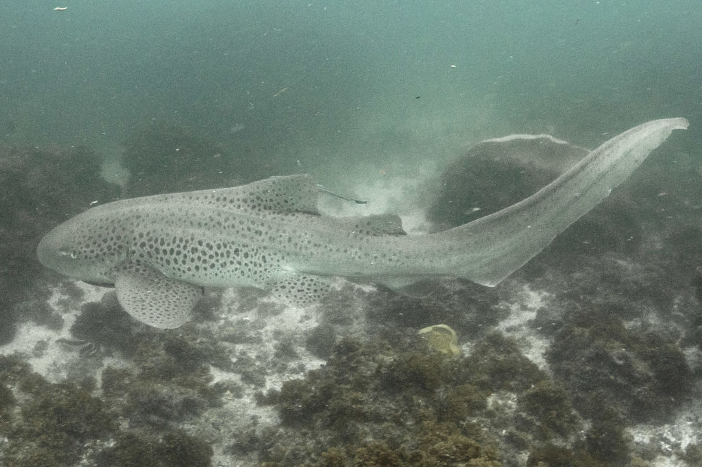 d0523cb8-6d12-4bd6-a78f-febfcf19ce3b