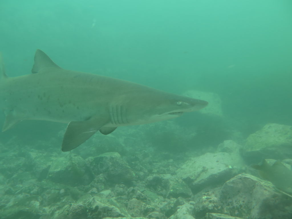 939f3c81-3342-4937-b010-e1b0a1b152ea