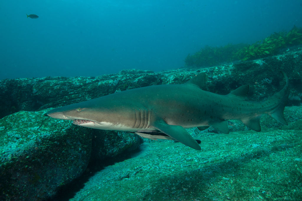 52b377e0-3584-4c16-8a39-893bfe26e906