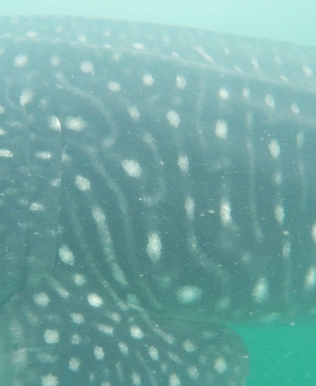 957c07f2-ed85-4386-b7be-7ded12357db5