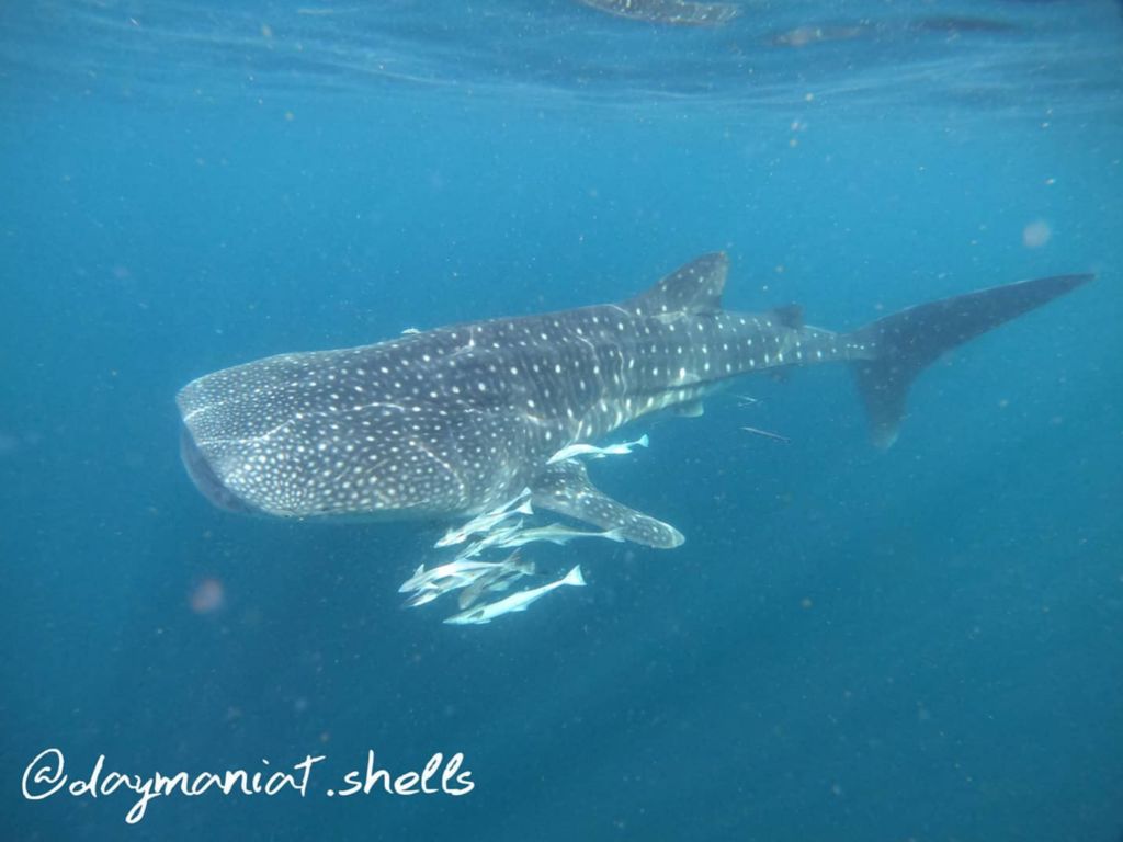 742959b3-f12b-4ee2-b7b0-a4f35796a404