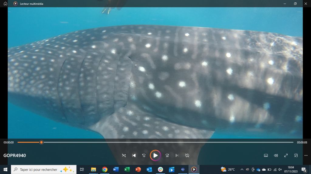 3fa1c1d0-fd54-4226-a5ab-82d60ce54141