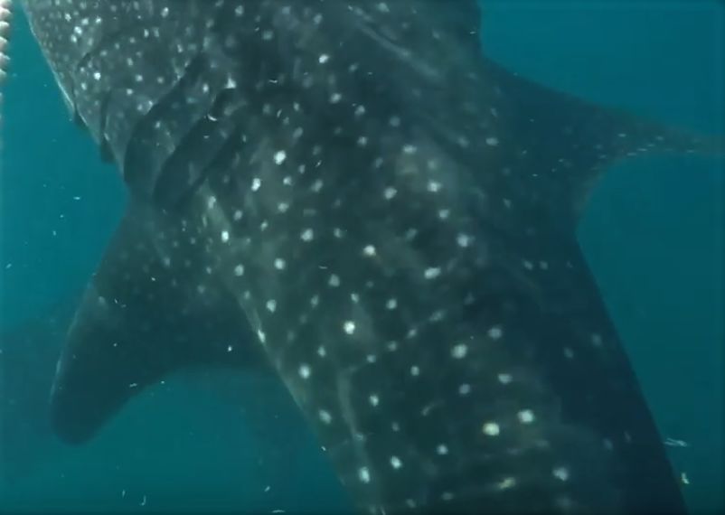 9713129f-f4b3-4c17-bec0-ca3686fceb03