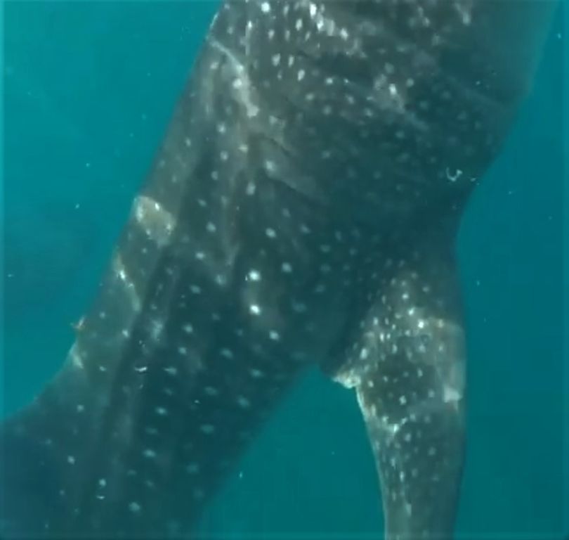 9713129f-f4b3-4c17-bec0-ca3686fceb03