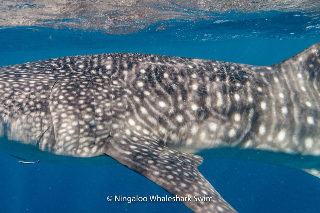 7c6750df-23f4-4757-8f27-54da4e4860a4