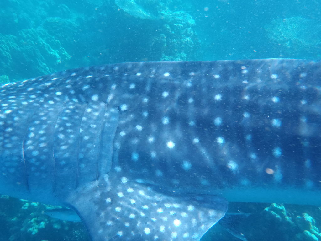 4a5cf9cb-3473-400b-b15c-846fac8198d3