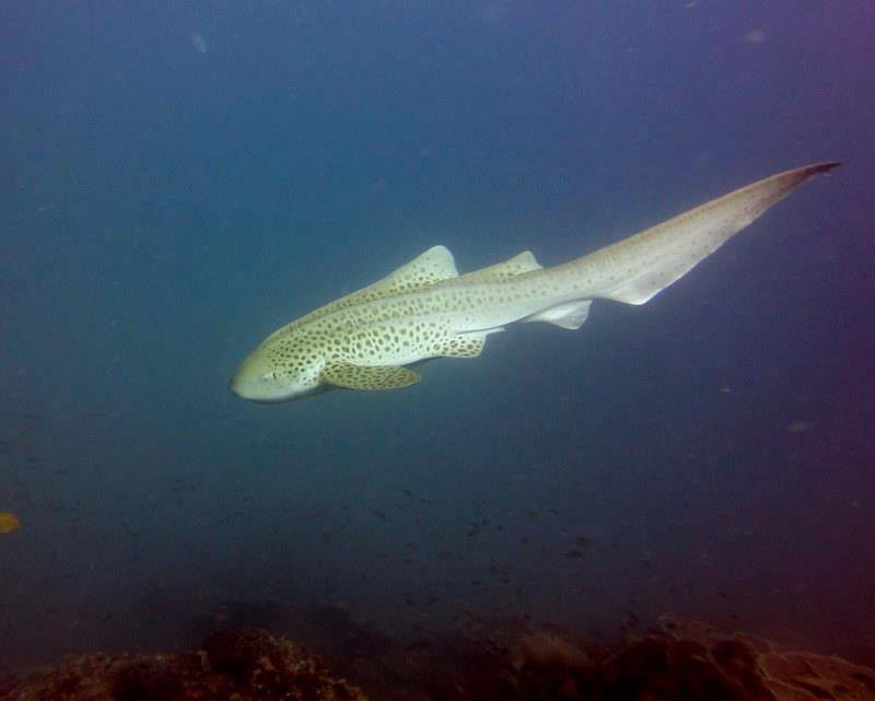 7d8a3bd2-49ec-45a5-8cb1-6fa2d4c559b3