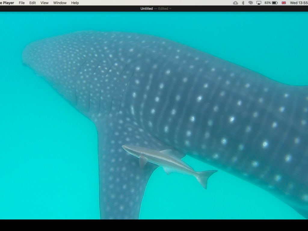 5f6385d4-9a60-446b-92ad-1085c33c3771