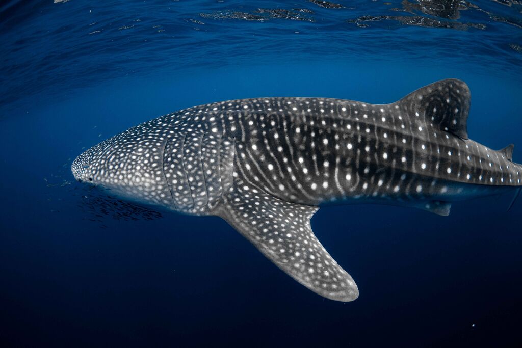 50e5b486-75c9-43e6-9a42-f316d763cfb1