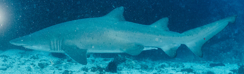 25e46580-5c11-4992-832d-0d46f7e9dabd