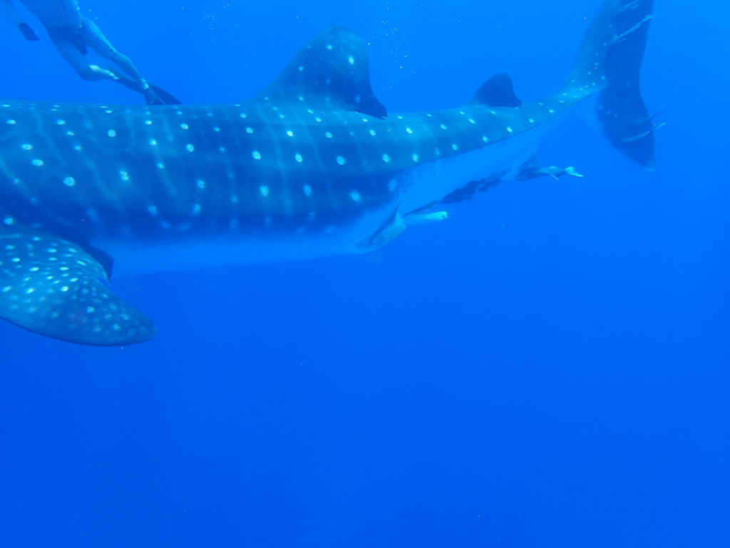 b2707857-e4e1-44bf-8041-5bb2fababb1b