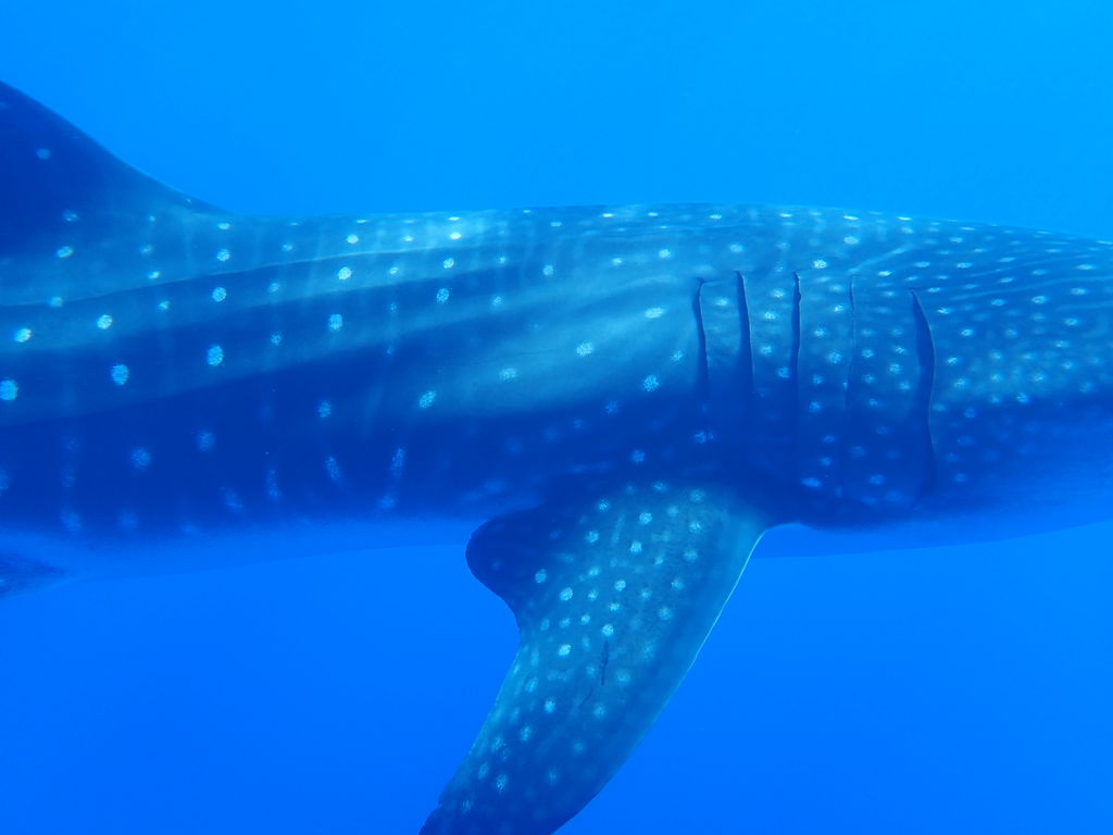 b2707857-e4e1-44bf-8041-5bb2fababb1b