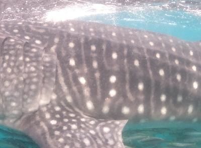 72ad7b8b-3e22-429d-a319-abc4d579accb