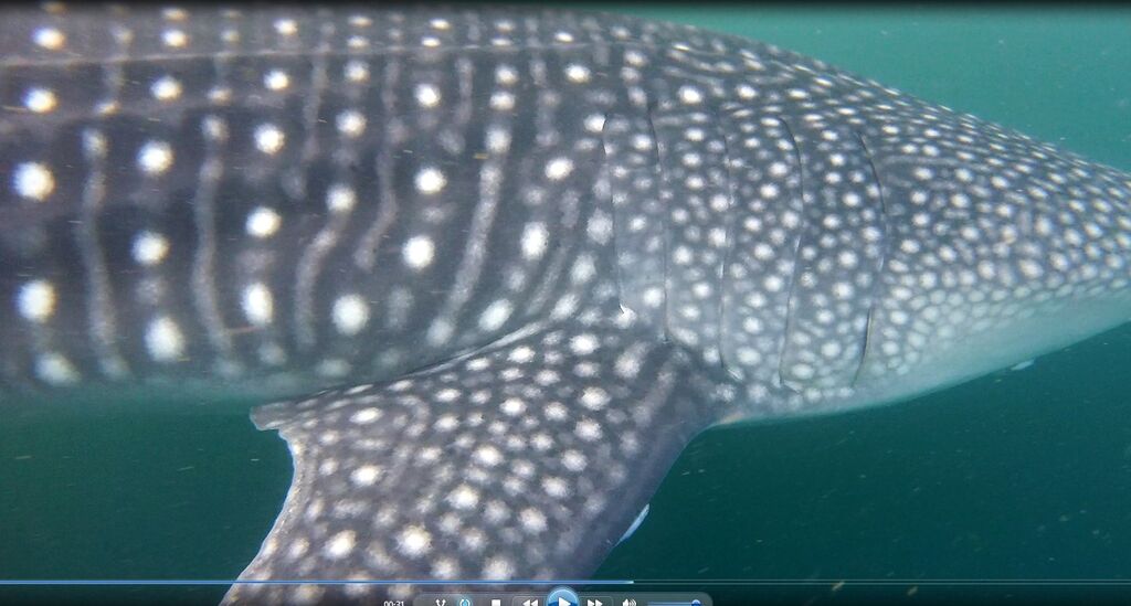 eef48583-9c7d-4ed8-8a35-4ca43e2e0c70