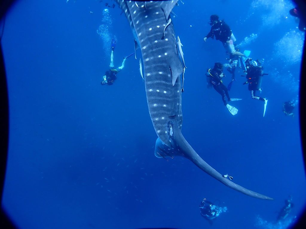 39e5886c-3f6e-482a-ab34-26b2a7d6b53d