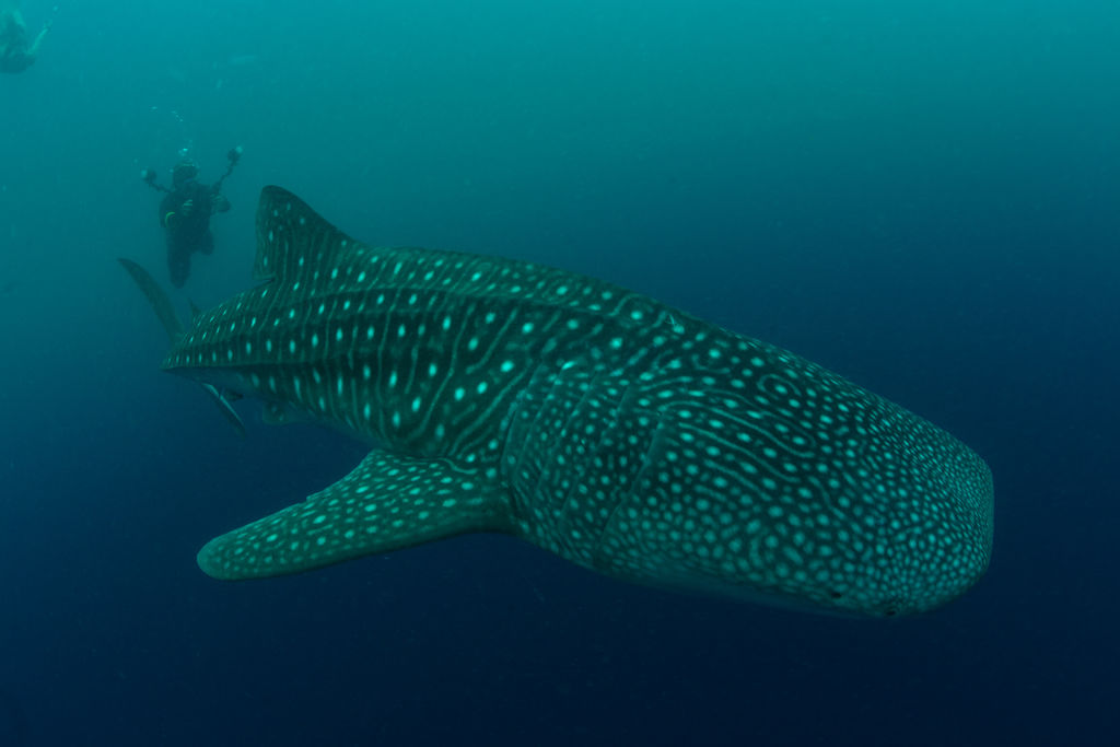 345c9238-2629-47bd-bbd4-9d0735b9e475