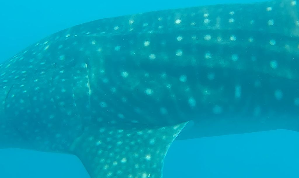 06c0fccf-d4c9-4c37-ab8b-2127332a1a59