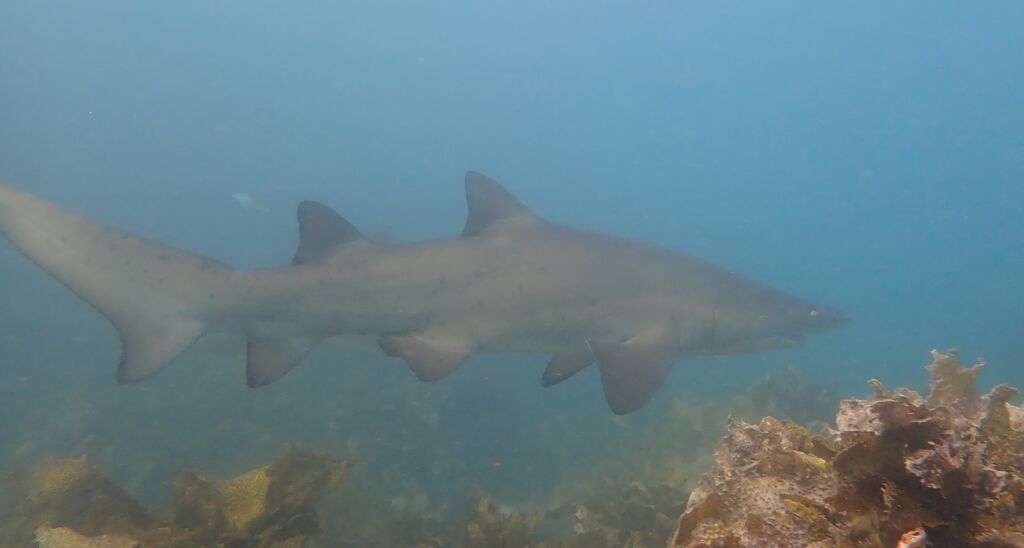 53612317-c837-4af7-a299-86df2867ad1f