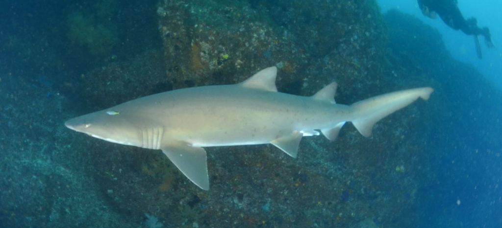 8b1c3764-e77d-4bf2-ae9e-435c5f7f2ab7