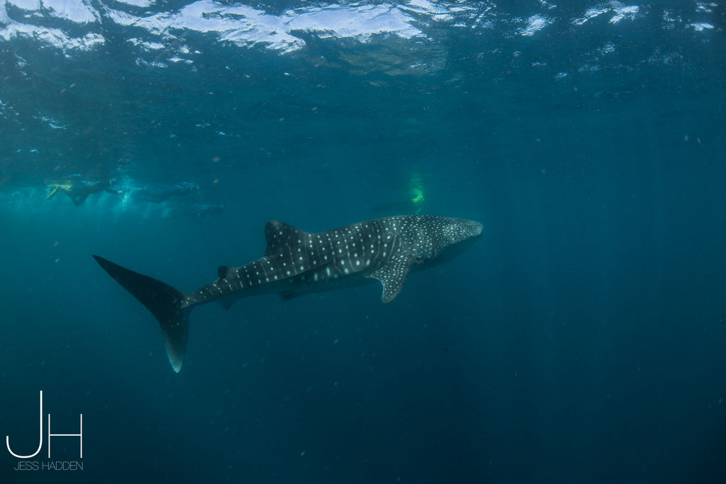 7b9dac9c-a6cb-472c-aad0-9b4e1dbbbdb3