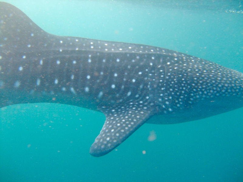 6bdbcf3a-25d5-4b9d-bac8-5aa0dffb7c6a