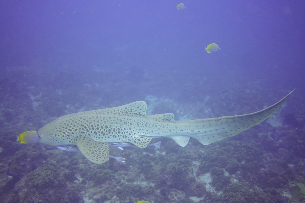 8fd3e5d7-59bb-4eae-aed1-ab9001fedea1