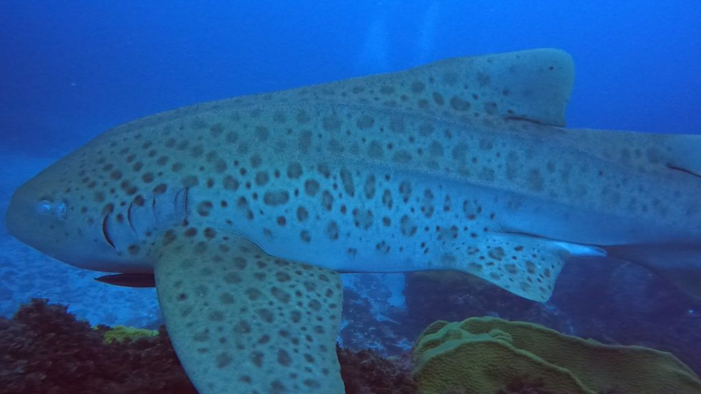 cb28911e-836e-462f-b93b-7e2be9a7cb1a