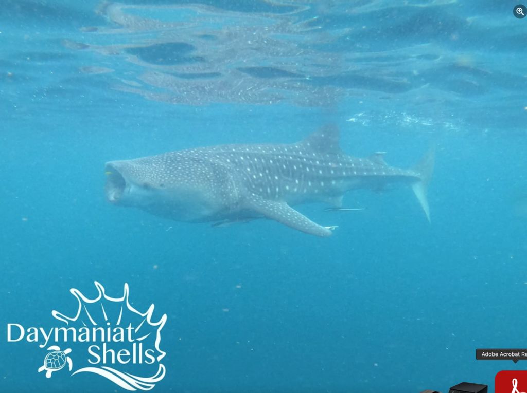 f5d16dd3-aea4-43f1-b7d7-b96f67bf72db