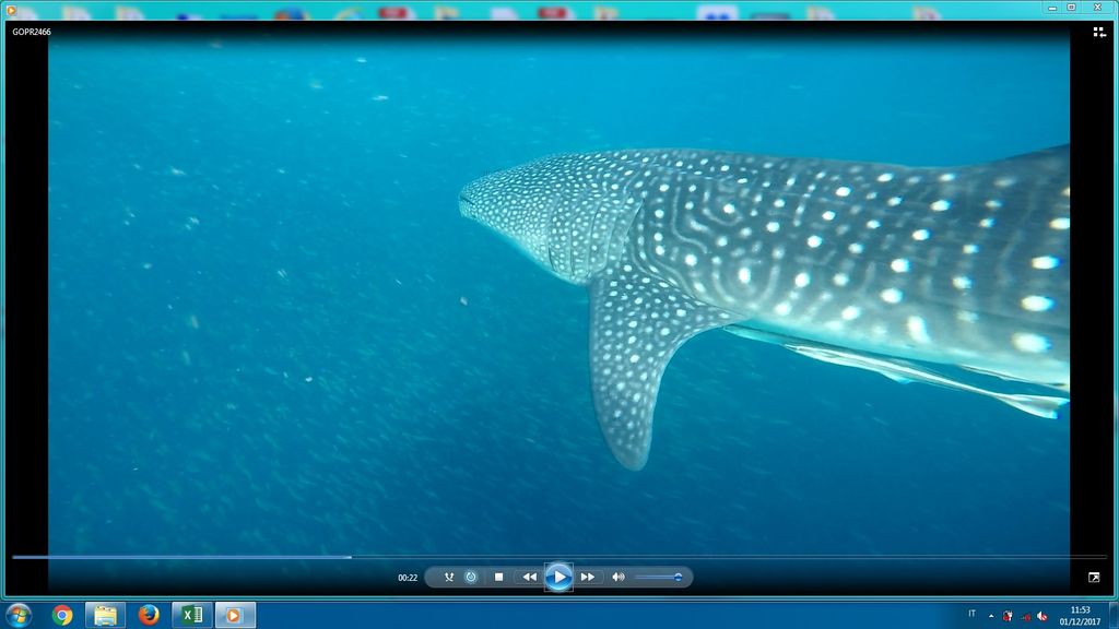 5a9ad49f-f272-47bd-a337-5f6253cb1c80