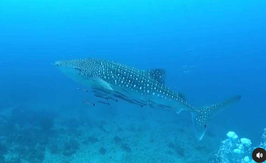 cc6e293e-5792-43e9-bd00-6d7ac6de5bf8