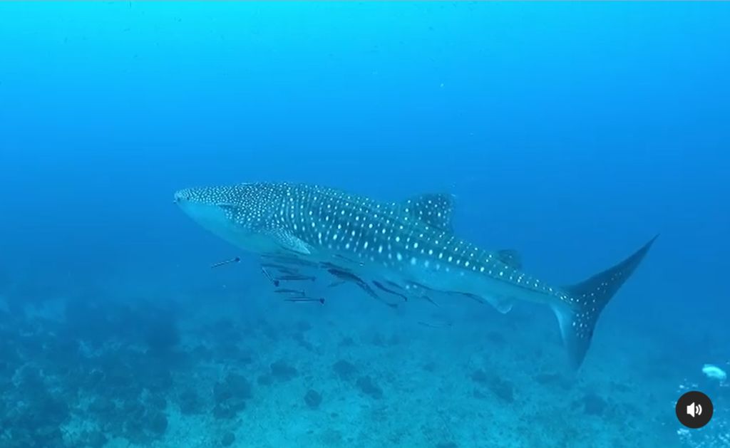 cc6e293e-5792-43e9-bd00-6d7ac6de5bf8