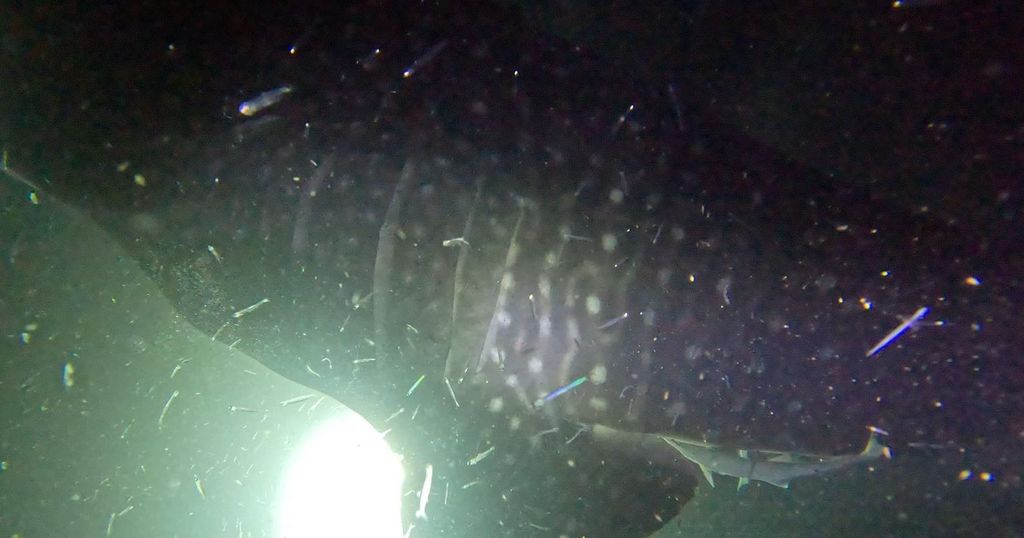 8fddff22-56a8-4711-9a7f-37040d7b5dce