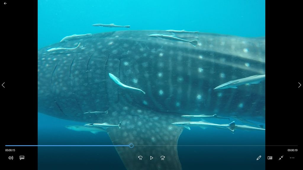 becf5017-7c49-4f83-8b06-9d96ac532c88