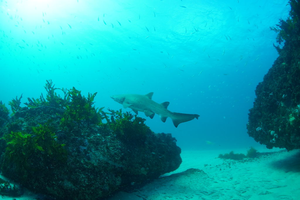 179efdee-96cf-4b26-b3bc-db418251752d