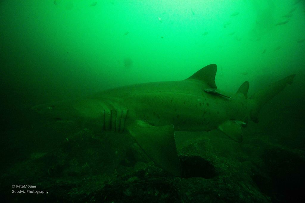 9c5ba708-d863-446a-8071-3e074a741588