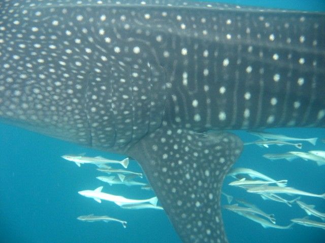 61c9488c-9707-447a-bb28-d971a99e8ac8