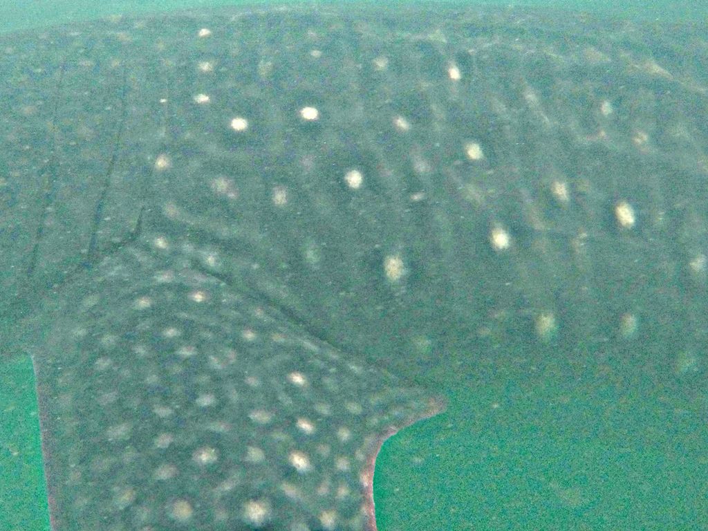 3cef914e-d073-410a-9d39-9f355ed4ef9a