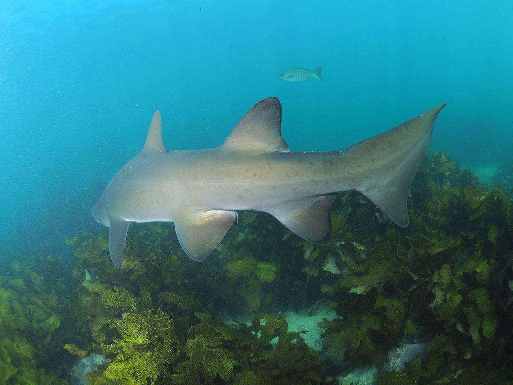 47f845bf-6629-4e45-963f-621e4a6c8664