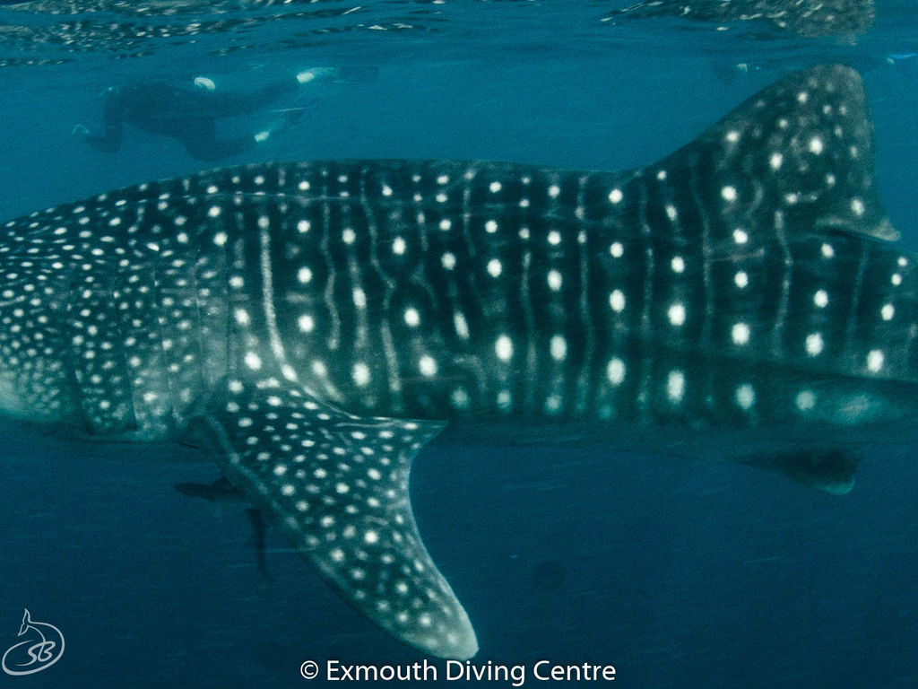 418805df-718f-464b-9b69-6a1bdfeedcf8