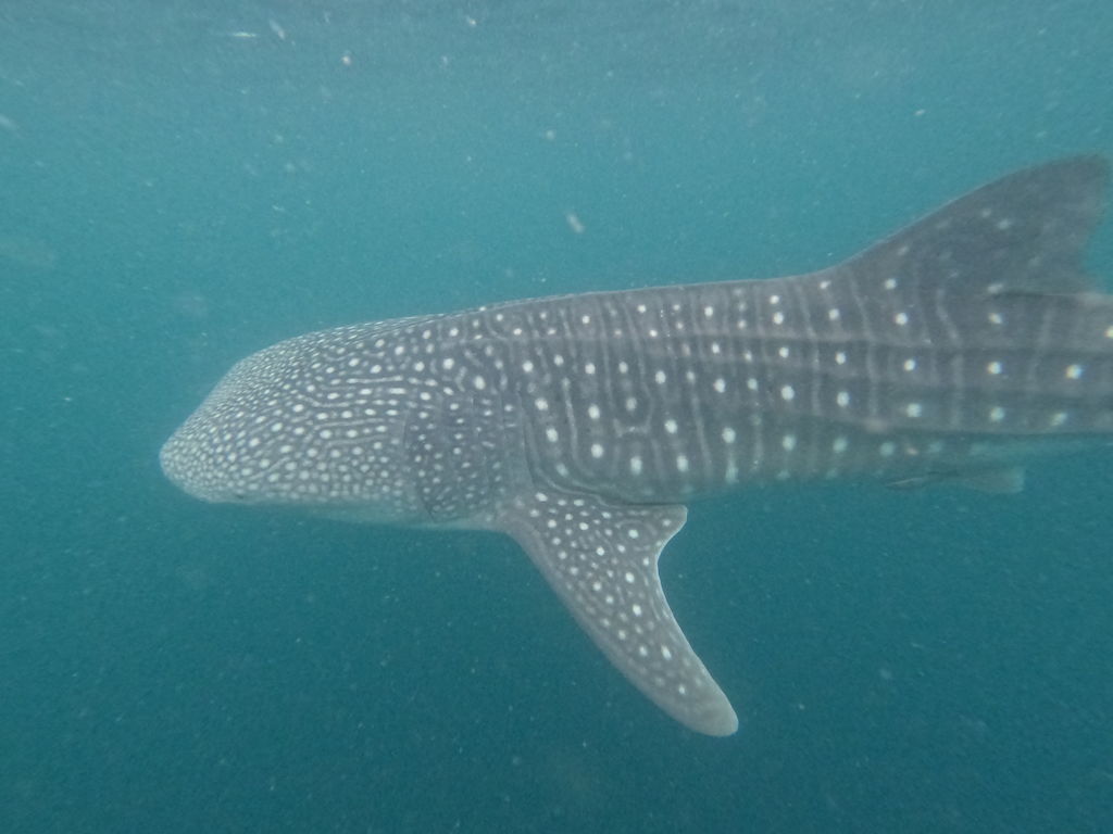 9cf25d32-63d3-4dab-ad73-77f46f9dd1f7