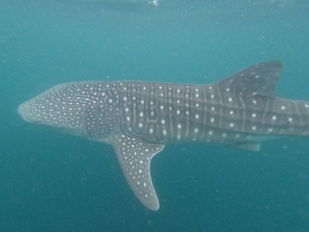 9cf25d32-63d3-4dab-ad73-77f46f9dd1f7