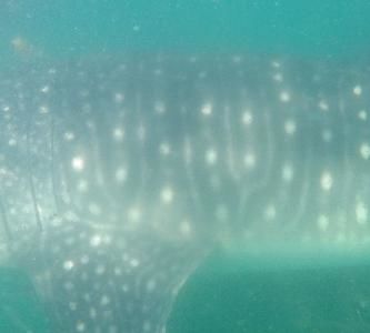 679e35f6-6391-427d-bc88-30a193b4a769