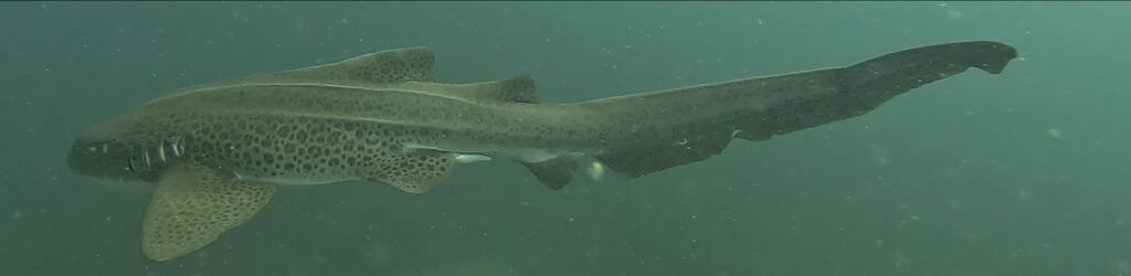 ceb7b860-cf33-46d0-9f9d-54d967501a35