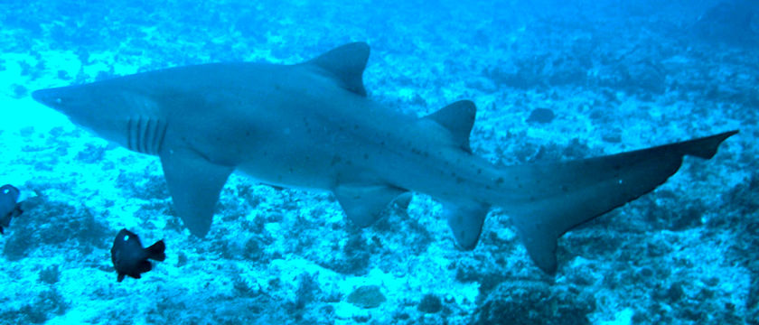 45b54e08-fd76-49ae-a81d-5b8be0d1ddb2