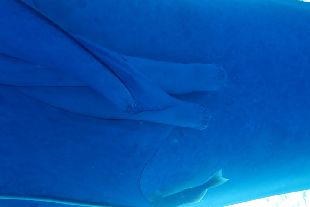 50768d6c-7547-4dc5-9cc7-4e929aa54d7d