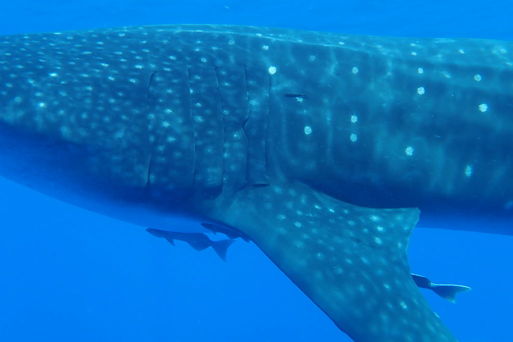 50768d6c-7547-4dc5-9cc7-4e929aa54d7d